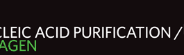 Nucleic Acid Purification - Qiagen