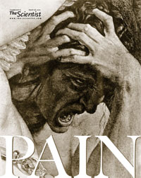 Bronzino, detail