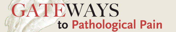 Gateways to Pathological Pain