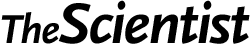 The Scientist