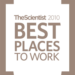 Take a BPTW Survey Now!