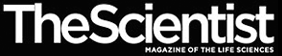 The Scientist