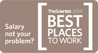 How does your company compare?