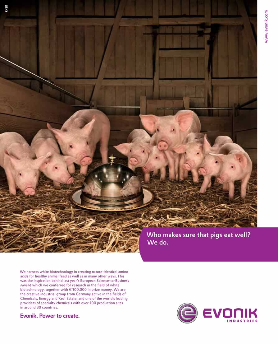 Please goto http://www.evonik.com